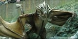 harry-potter-dragon-cropped