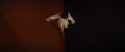 bad times at el royale - cailee_thumb.jpg