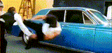 braddu warp speed