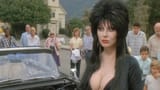 Elvira booba