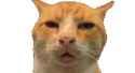 humourously-large-1_thumb.jpg