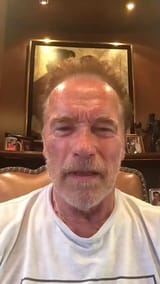 Arnold disgust