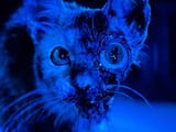 images(20)