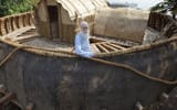 real-noah_image