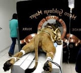 MGM