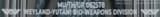 version number or date