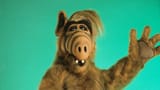 alf_-_h_-_1986