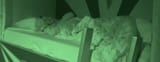 vlcsnap-2025-08-18-09h27m56s74167