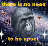 giphy_s