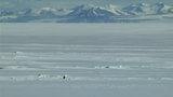 Seppe - Nihilist Penguin (Werner Herzog) [mnTU_hJoByA - 914x514 - 1m19s]