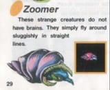 Zoom Zoom