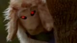 demonsheep_wide-c9fab8b0139db1403180e9679dfd8633816bac9b