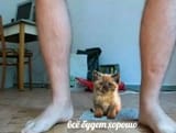 Thread 213804270 OP Image