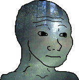 feel forest