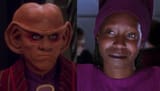 quarkvsguinan