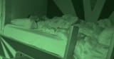 vlcsnap-2025-08-19-09h18m34s003