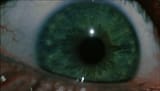 Thread 213825433 OP Image
