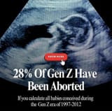 zoomer aborted