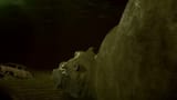 hippo in the river