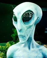 ayy lmao