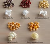 why-pop-corns-pop