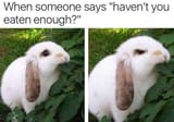 83293874923