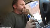 85308503-13459517-By_day_two_of_his_experiment_Mr_Spurlock_felt_nauseous_to_the_po-a-31_1716661629650