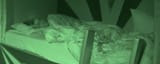 vlcsnap-2025-08-21-12h55m12s925756