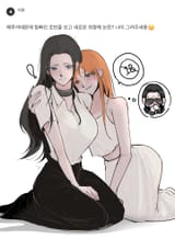 __nami_and_nico_robin_one_piece_drawn_by_ibb_030__e74d4649cae9d88934e38c252bd2b2fd