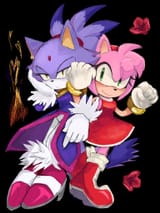 __amy_rose_and_blaze_the_cat_sonic_drawn_by_zarenix_p1ctur33__b7e6de378c48eea4037c56e7e8a5eff8