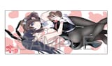 resize_image
