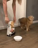 toomuchfood