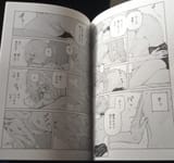 Page 10-11