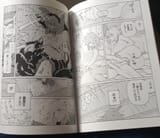 Page 16-17
