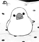 meme bird