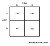 selfcest punnett square