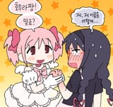 __akemi_homura_and_kaname_madoka_mahou_shoujo_madoka_magica_drawn_by_daily_danmi__1e55990b5a0898d6c6c972917d0ba822