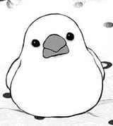 meme bird