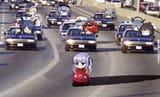 essex_chase