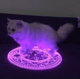 i wanna cast a spell