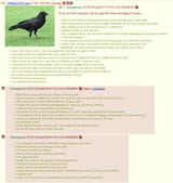 1411514211411