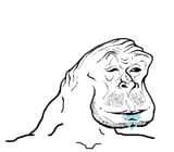 brainlet5