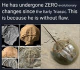 1737728396116248