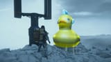 duck