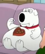 brian
