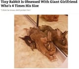 lilguy
