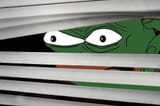 frog window