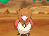 spearowpet