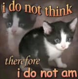 1748639907385