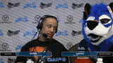 Sonic Fox Stare
